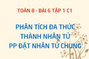 Cách phân tích đa thức thành nhân tử: Phương pháp đặt nhân tử chung - Toán 8 bài 6 tập 1 chương 1
